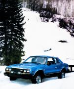 AMC Eagle Sport 1980 года